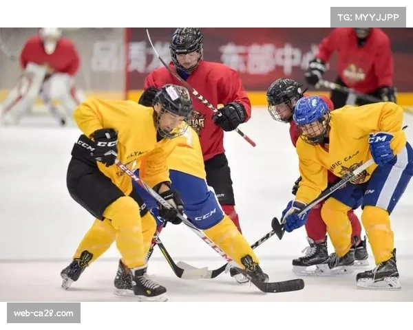 特写：传奇捕手最后一课——美国队教练阿曼达·希尔德在训练营中亲自指导年轻球员